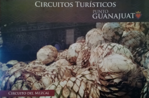 PUNTO GUANAJUATO. MEZCAL