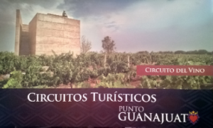 PUNTYO GUANAJUATO VINO