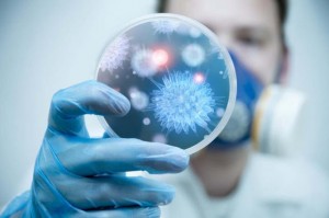 bacterias