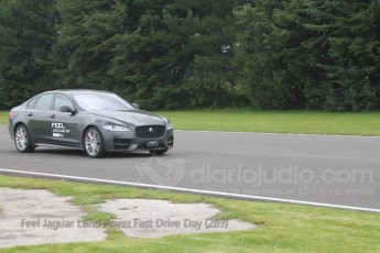 Feel Jaguar Land Rover Fast Drive Day (289)