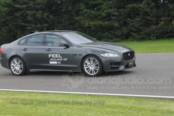 Feel Jaguar Land Rover Fast Drive Day (290)