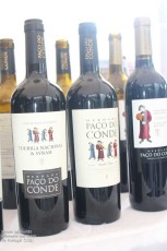 Siente un mundo diferente con Vinos de Portugal (138)