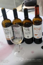 Siente un mundo diferente con Vinos de Portugal (23)